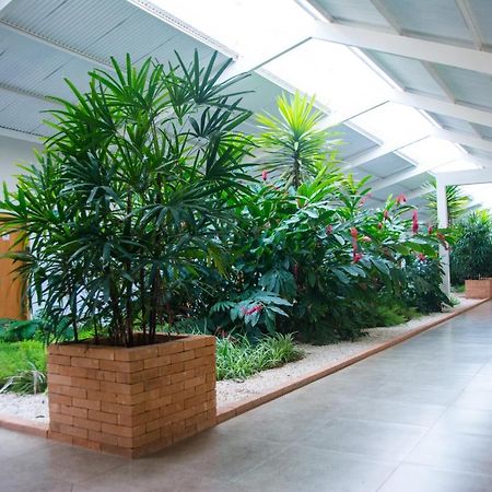 Hotel Vila Verde Penapolis Luaran gambar